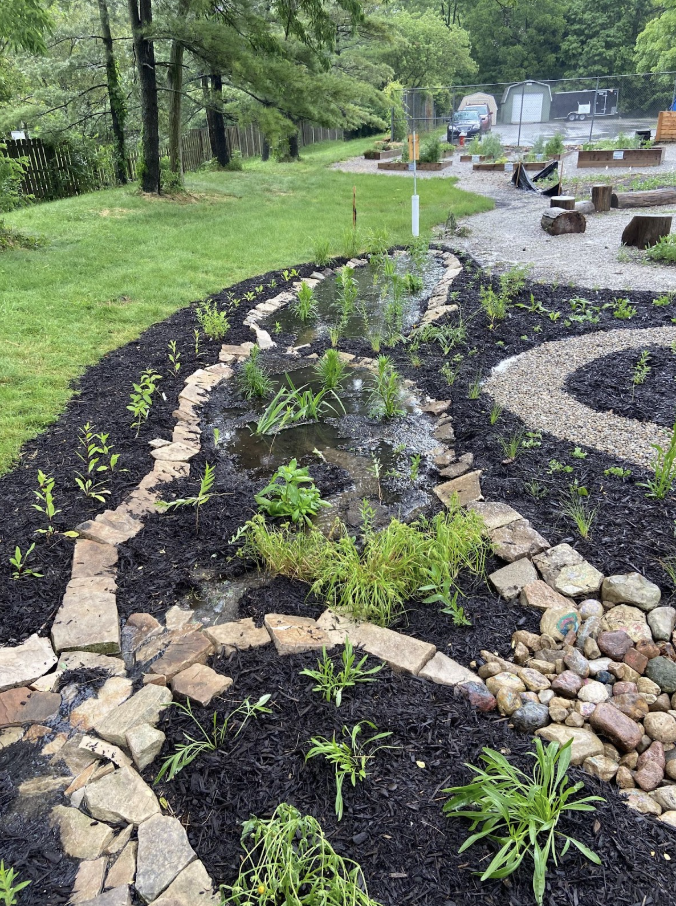 Part of the rain garden with water pooling in controlled areas surrounded by rocks and plants